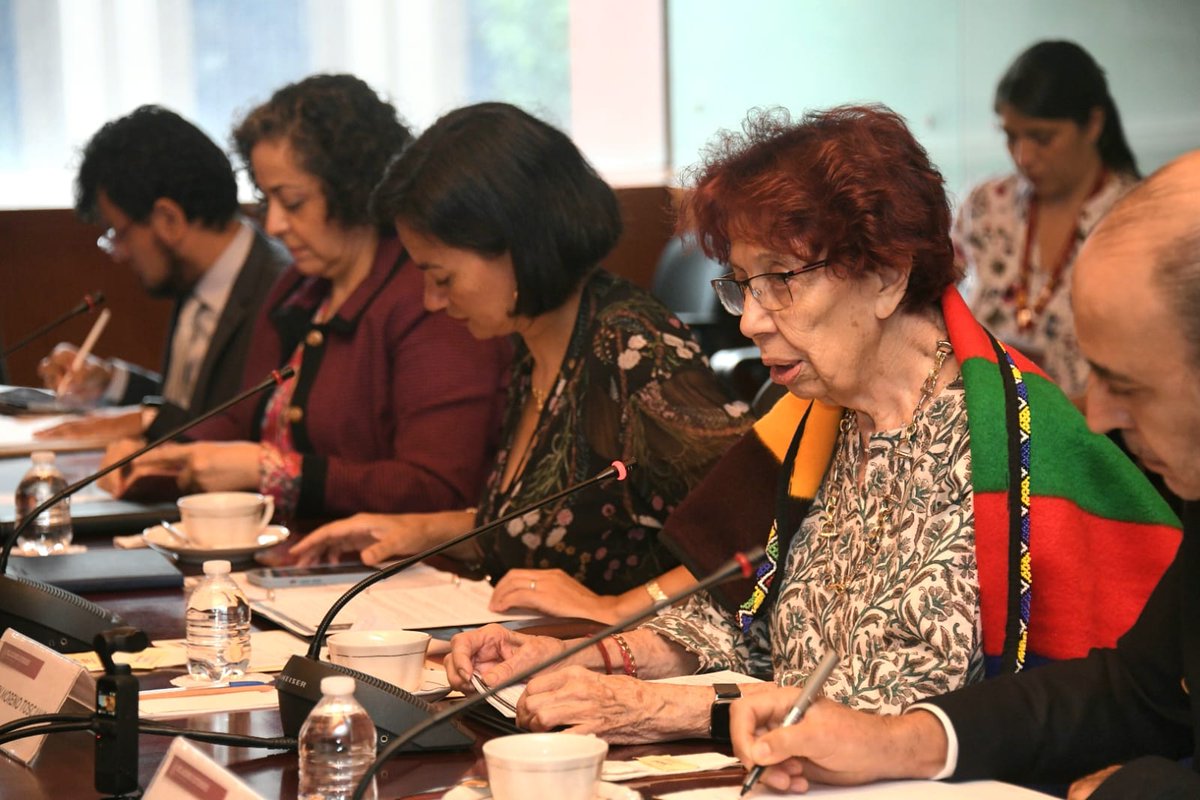 DIRCO_ZA's tweet photo. #SAMexicoRelations🇿🇦🇲🇽 | The 3rd Meeting of the Mechanism of Consultation. 

Deputy Minister @alvinbotes meeting with Ambassador Ms Carmen Moreno Toscano, Under Secretary of Foreign Affairs of Mexico. https://t.co/t02LSGB3VR