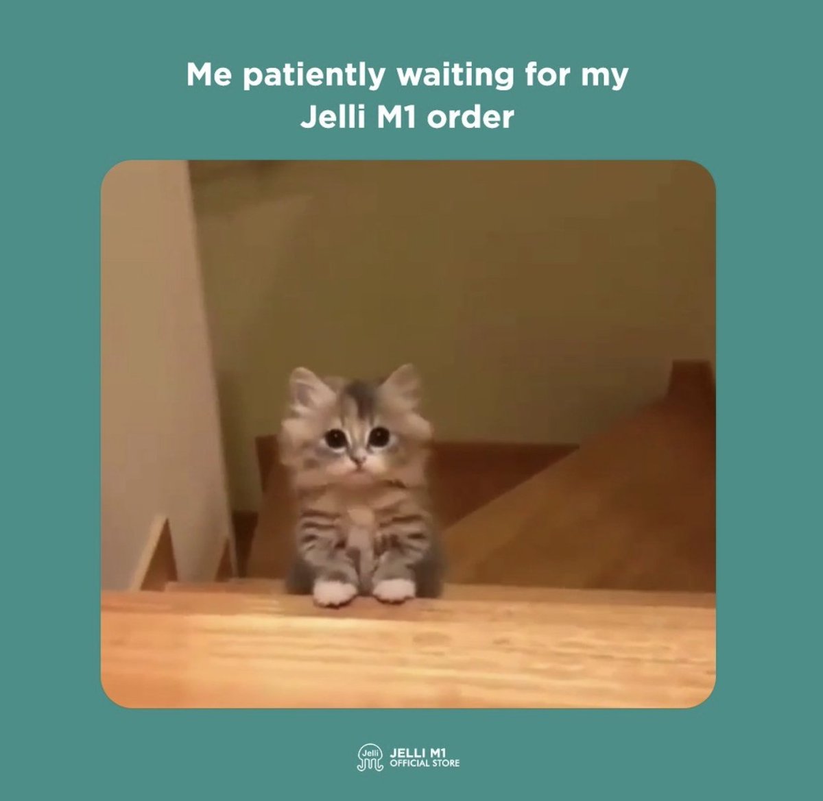 Jelli_M1's tweet photo. When you're tracking your Jelli M1 order and it's finally on its way 👀 The anticipation is real 📦 

Currently in waiting game? 🕐 

#jelli #jellim1 #jellimask #amazon #amazonfinds https://t.co/iatpRMJt5Y