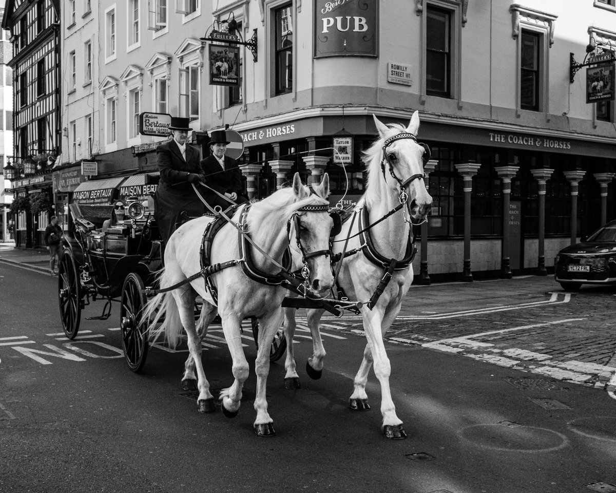 GonzoStreetPhotography tweet media