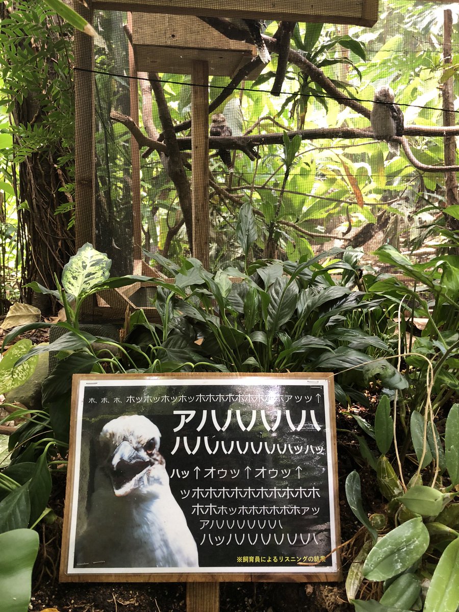 BQx6DDsrtCKst3Z's tweet photo. 相変わらずバイオパークのパネル面白い https://t.co/PUHhlwlOvN