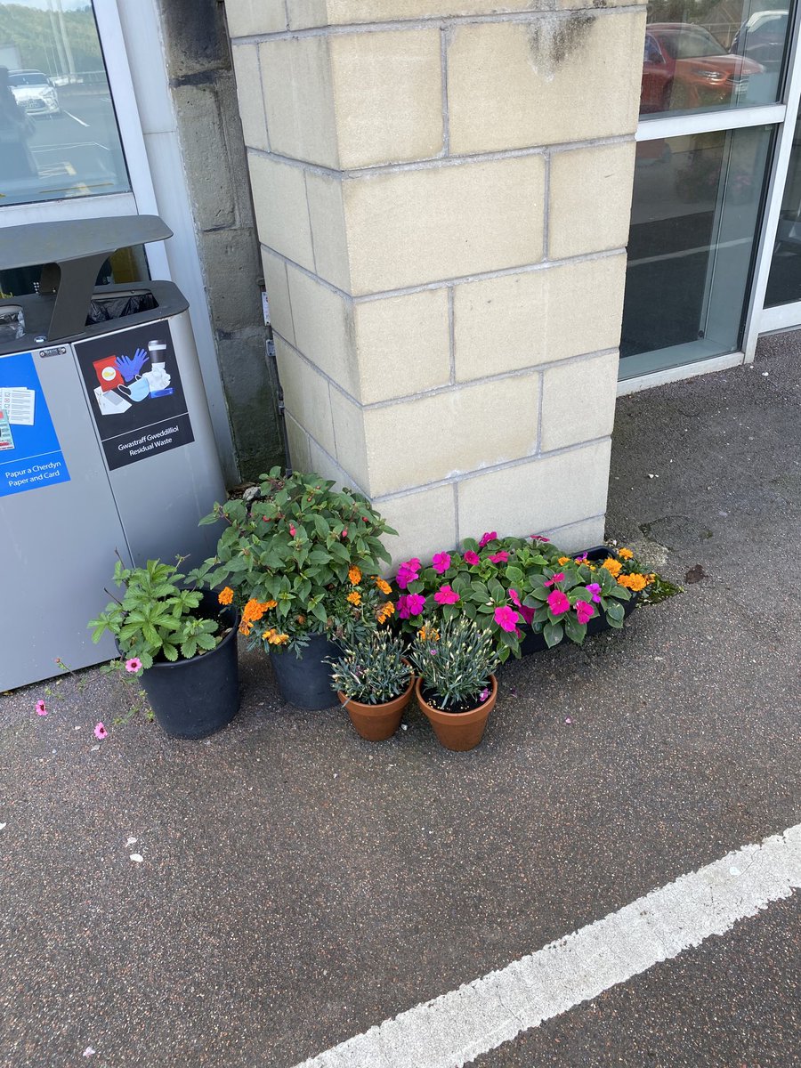 Great to see the USW OT students’ poster that analysed the Doing, Being,  Belonging and Becoming of therapeutic gardening, on display outside USW Tramshed ⁦<a href="/usw_flse/">USW Life Sciences & Education</a>⁩ ⁦<a href="/USWHealthcare/">USW Healthcare</a>⁩ #weareot