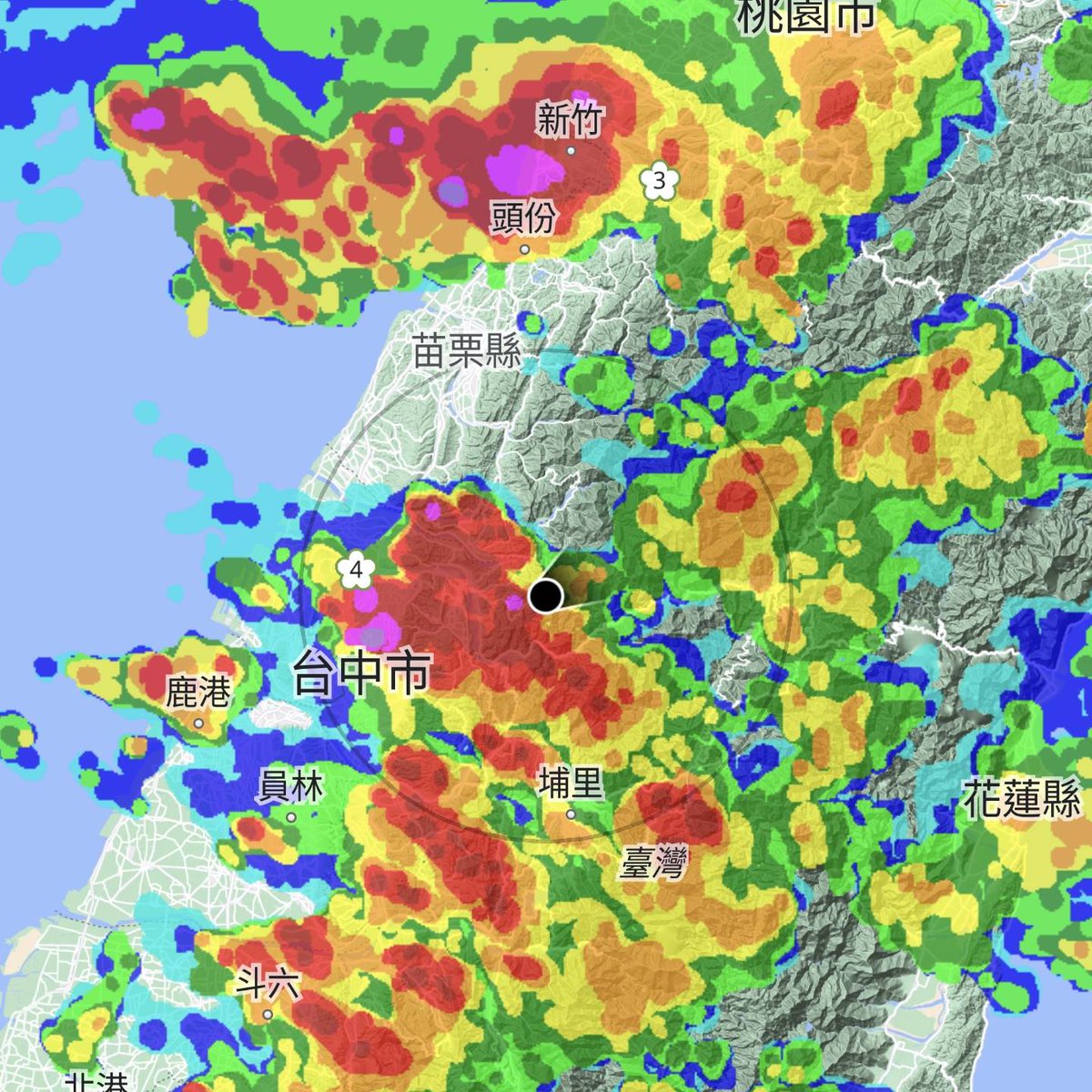 taiwanbirdguide's tweet image. Found a pair of #TaiwanPartridge under heavy rain 🌧️🌧️🌧️

#TaiwanBirdGuide #bird #Birdwatching #birdtour #TaiwanEndemicSpecies #birdtour #Taiwan