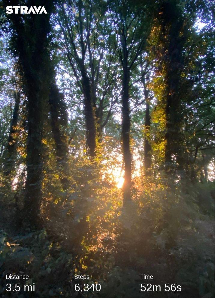 andyb066's tweet photo. Good morning @runningpunks Sunrise and trees to start the day @BipolarUK #poletopolechallenge @SOBScharity #stepwithsobs #muddymilesformegs #runningpunks #walkingpunk https://t.co/iGnNiavj3L
