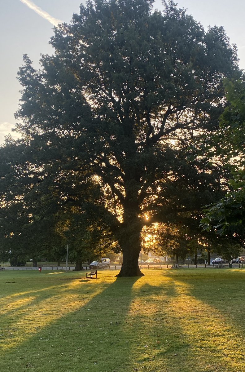 andyb066's tweet photo. Good morning @runningpunks Sunrise and trees to start the day @BipolarUK #poletopolechallenge @SOBScharity #stepwithsobs #muddymilesformegs #runningpunks #walkingpunk https://t.co/iGnNiavj3L