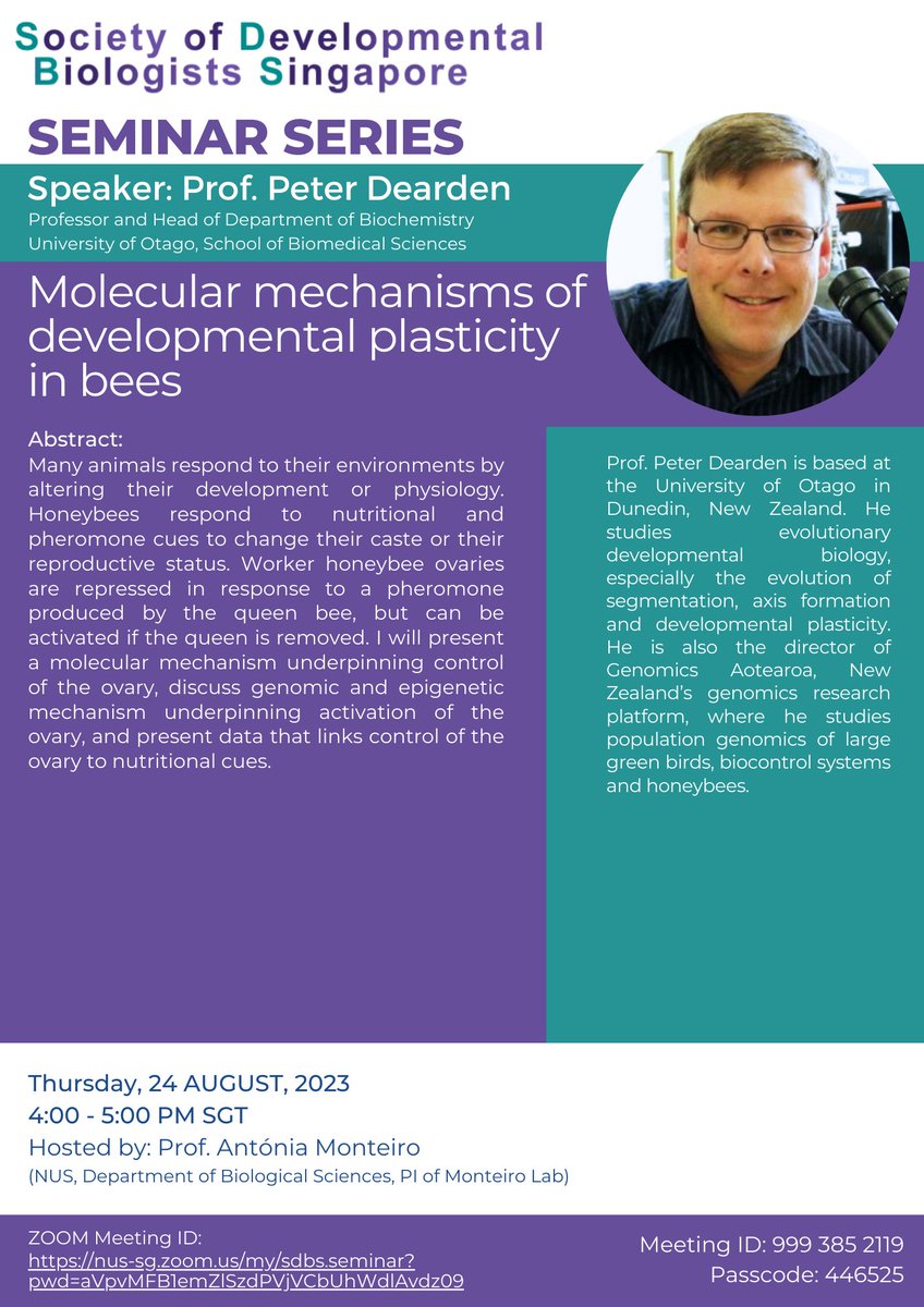 Looking forward to a virtual seminar with @peterkdearden on the molecular mechanisms of developmental plasticity in bees, happening next week, 24 August at 4 PM SGT. The seminar will be hosted by <a href="/MonteiroLab/">Antonia Monteiro</a>. See you there! tinyurl.com/sdbs0823
<a href="/IntSocDevBiol/">International Society of Developmental Biology</a> <a href="/GeneticsOtago/">Genetics Otago</a>