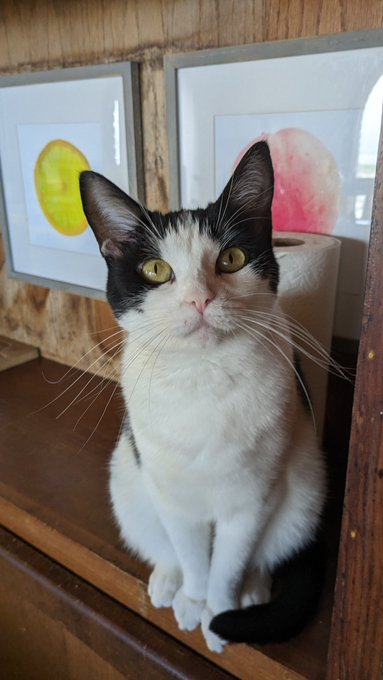 Munchie says, "Goodnight ❤️" https://t.co/9TQ3HjrZDK