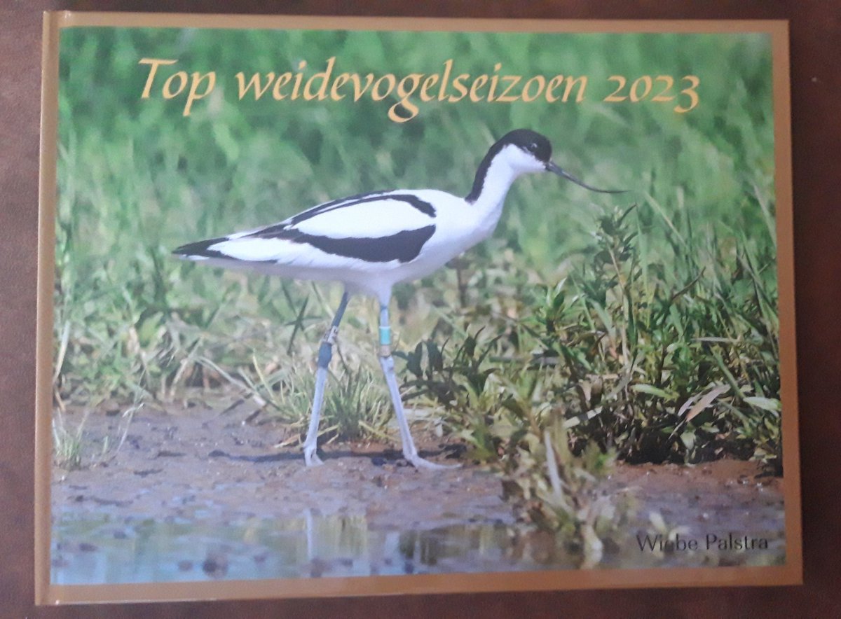 firefigter17's tweet image. Het mooiste en beste weidevogelseizoen sinds ik vogelwachter ben (aanstelling in 2000) gebundeld in een fotoboek. Weinig predatie en veel vliegvlugge vogels, met dank aan goed predatiebeheer en actieve veehouders met een hart voor de vogels. Kortom een top jaar!