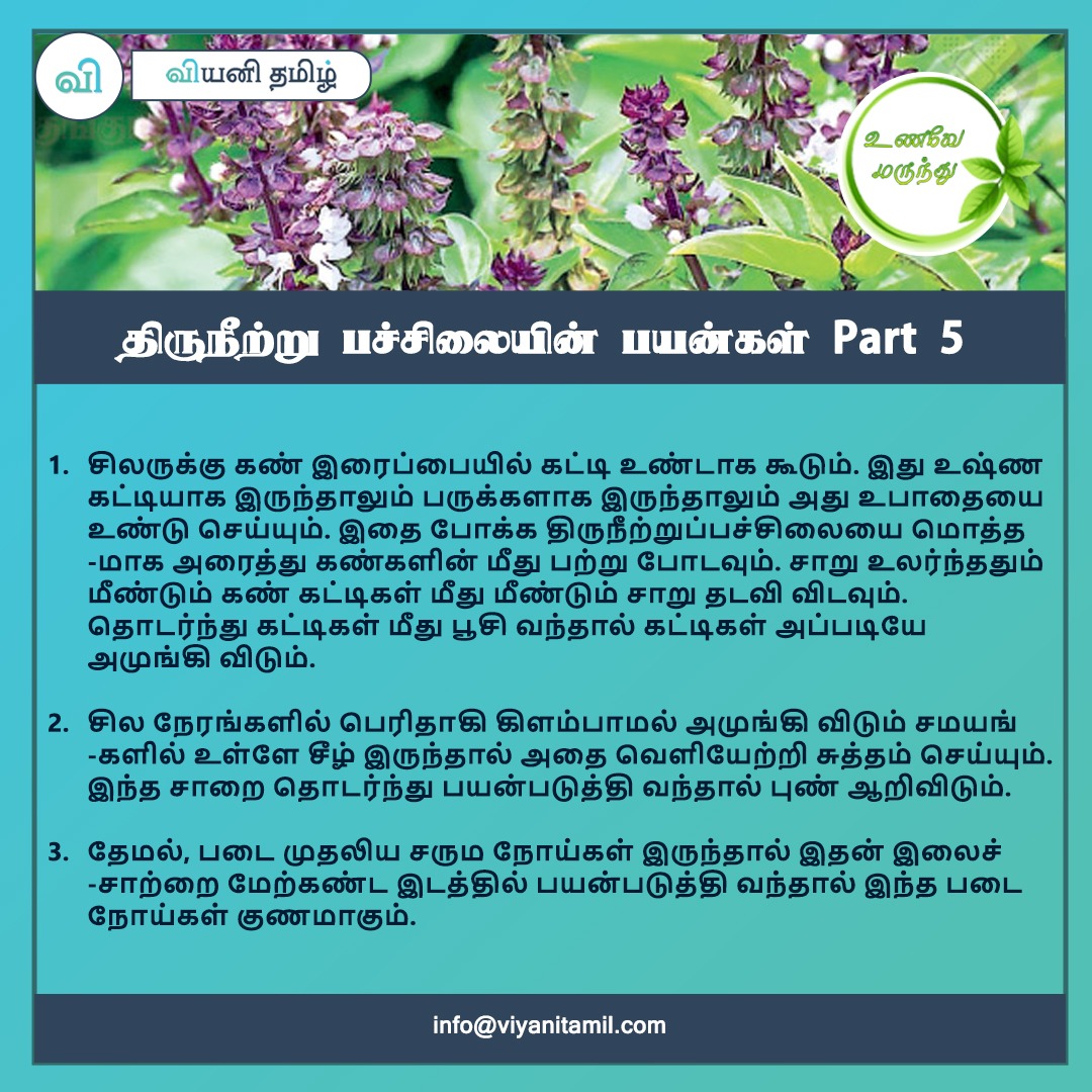viyanitamil's tweet photo. திருநீற்று பச்சிலையின் நன்மைகள் பற்றி பார்க்கலாம்..
info@viyanitamil.com
#culinaryherb #herb #fromplot #pot #herbs #lamiaceae #basilico #bazylia #basilplant #basilplants #basilleaf #basilleaves #growingbasil #herbsofinstagram #instaherbs #igherbs #basil #culinaryherbs #ocimum https://t.co/5jf1HG4JBj
