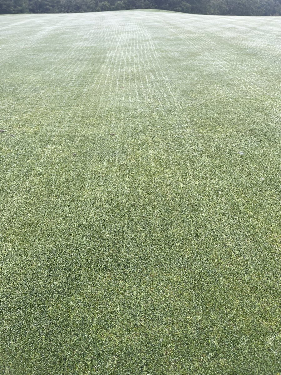 Coursecondition's tweet image. The results of last weeks maintenance clearly showing in the dew this morning