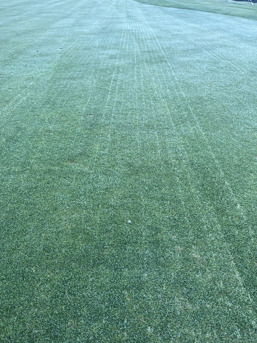 Coursecondition's tweet image. The results of last weeks maintenance clearly showing in the dew this morning