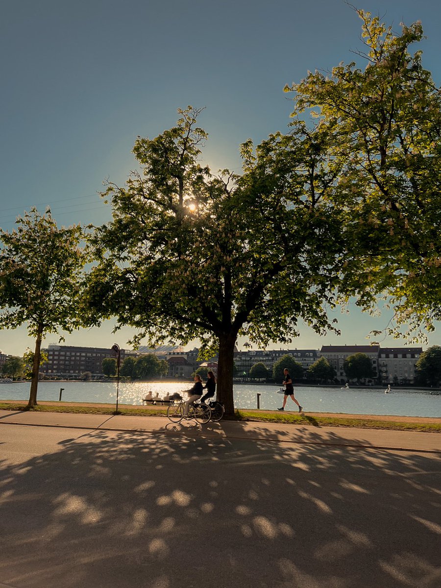 Sachett @sach3tt - Twitter Profile | Sotwe