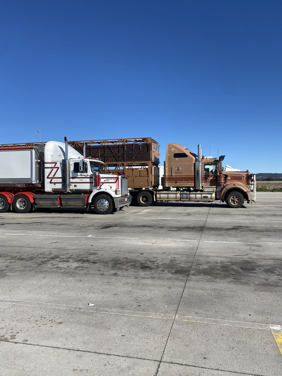 Ryan Milgate tweet media