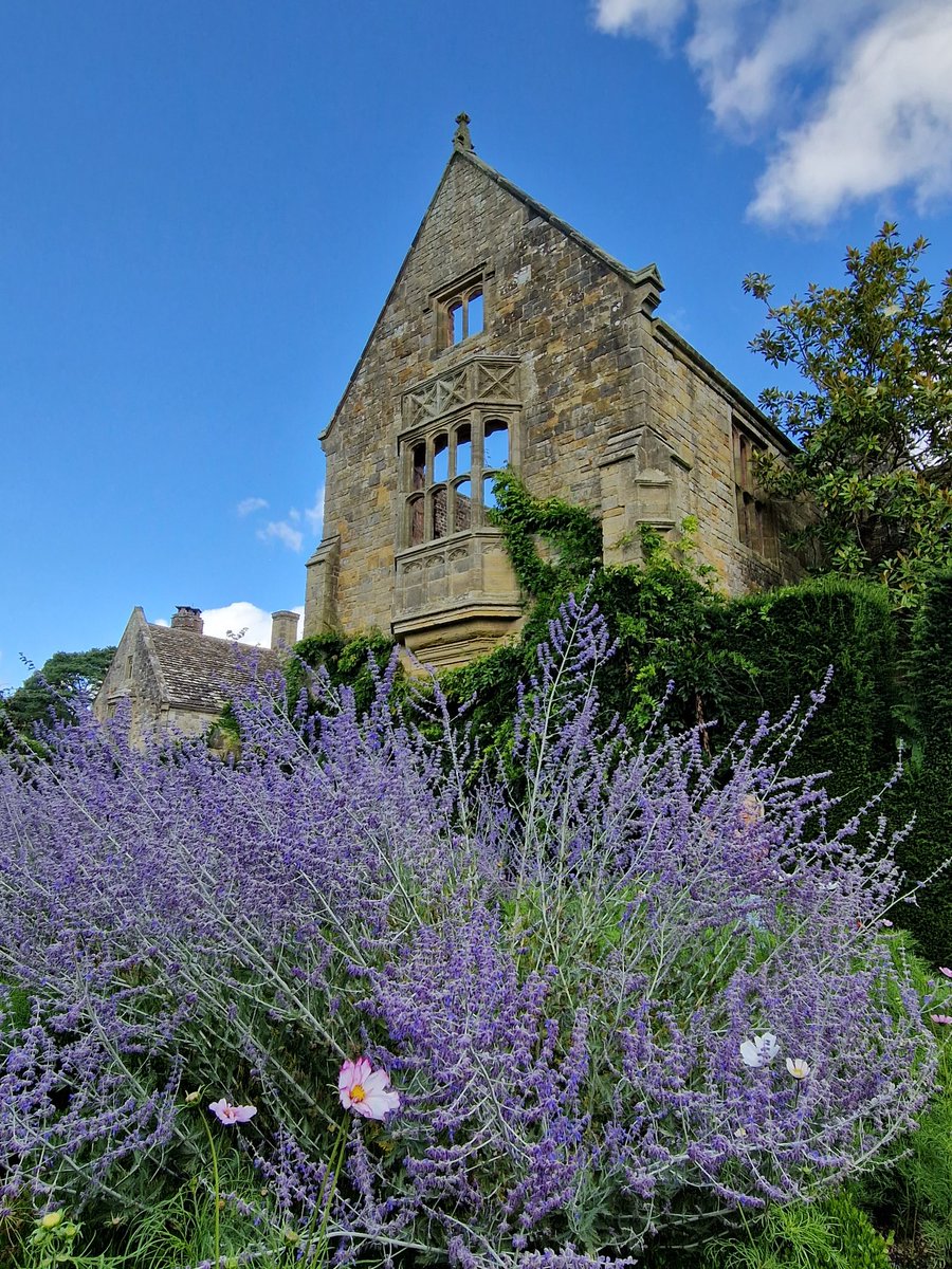 Victoria White tweet media