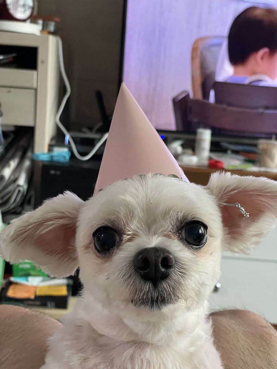 YoYo_check_it_'s tweet photo. 생일입니다
추카해주세요 https://t.co/qRRWSsCZTU