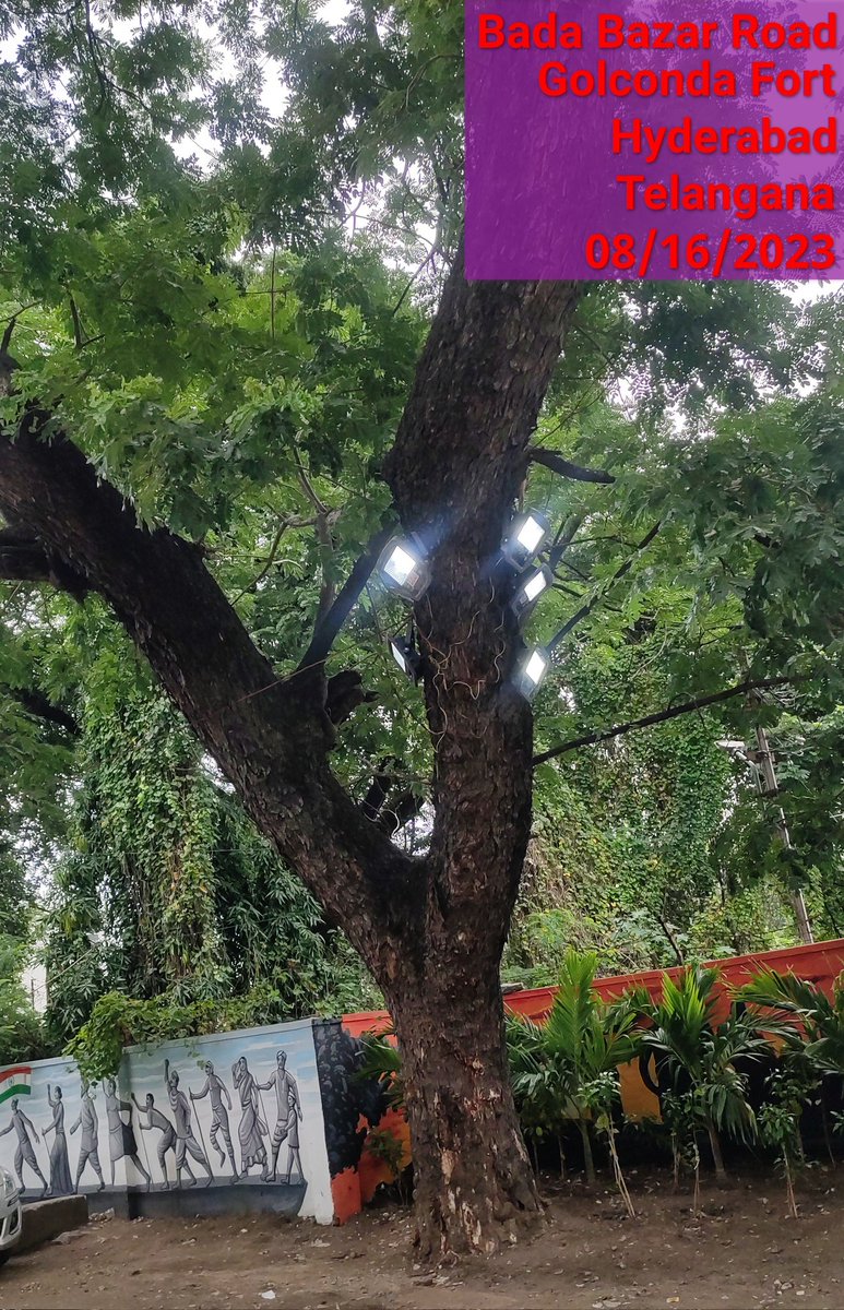 TGCitizen tweet media