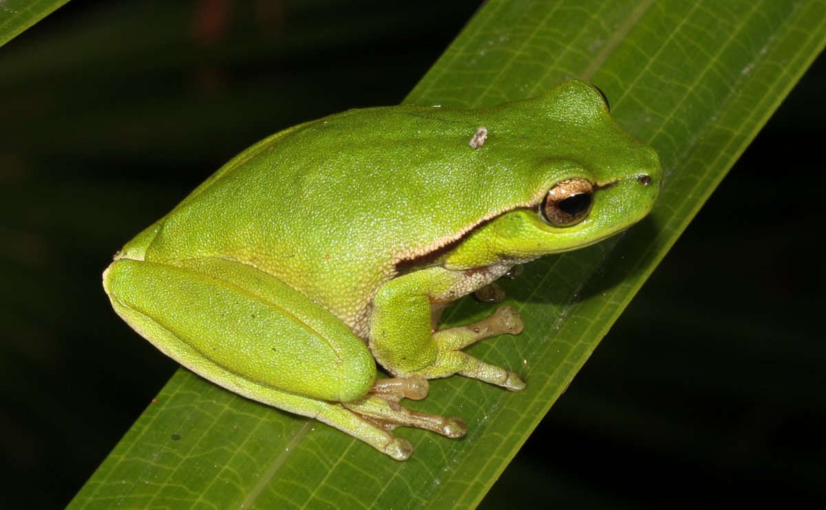 Dane Trembath tweet media