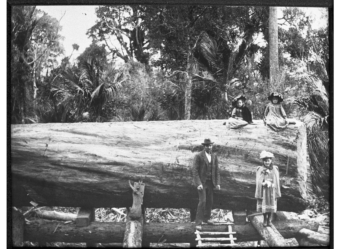 Olli Hellmann tweet media