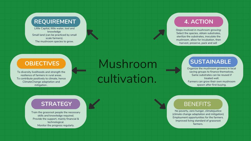 Diversify #livelihoods and strengthen the resilience of grassroot farmers through encouraging faster growing #mushrooms to provide food, income, as we adapt to and mitigate the #climatechange for #ZEROHUNGER  #SustainableLiving #agriculture #ClimateActionNow #climatefinance
