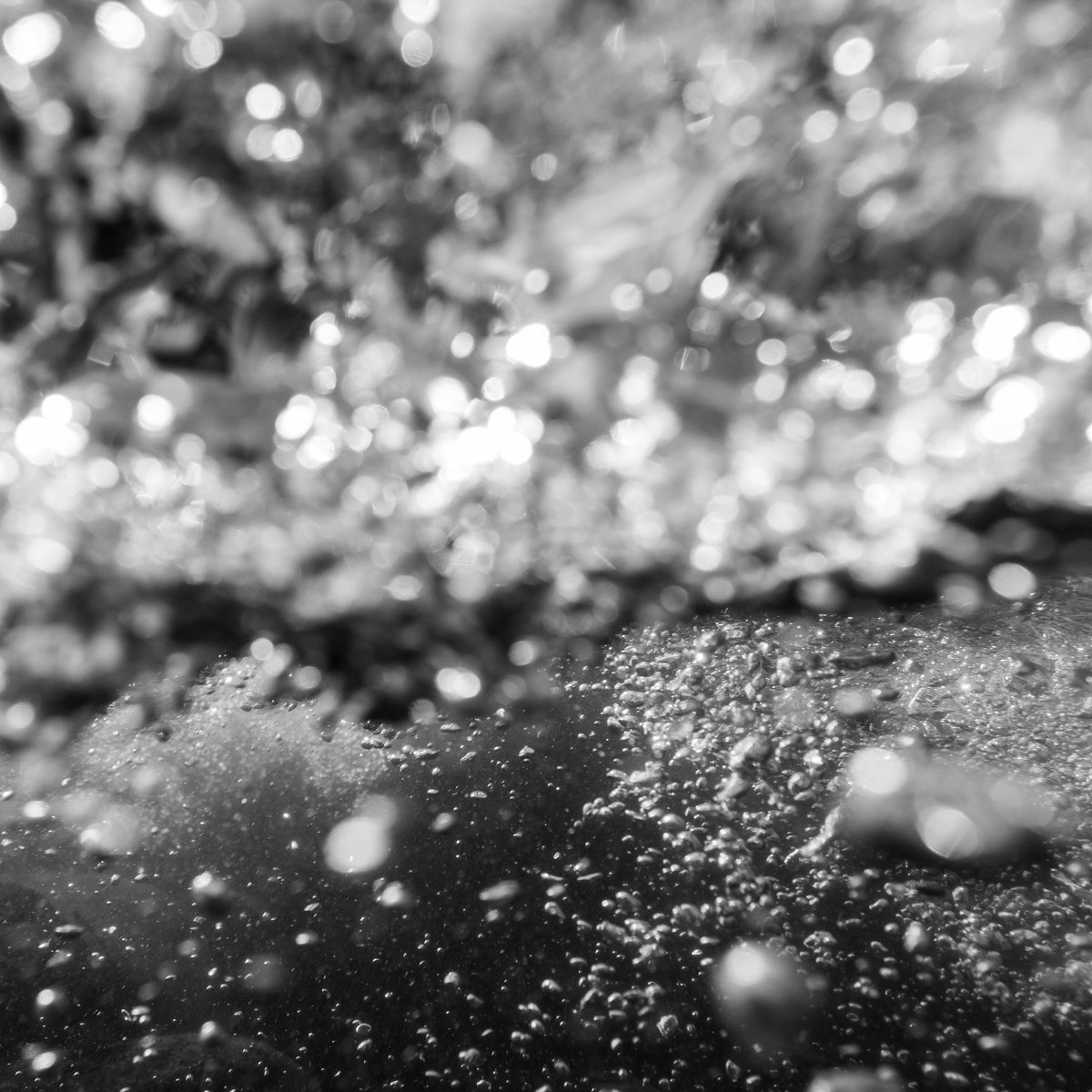 river_bubbles tweet picture