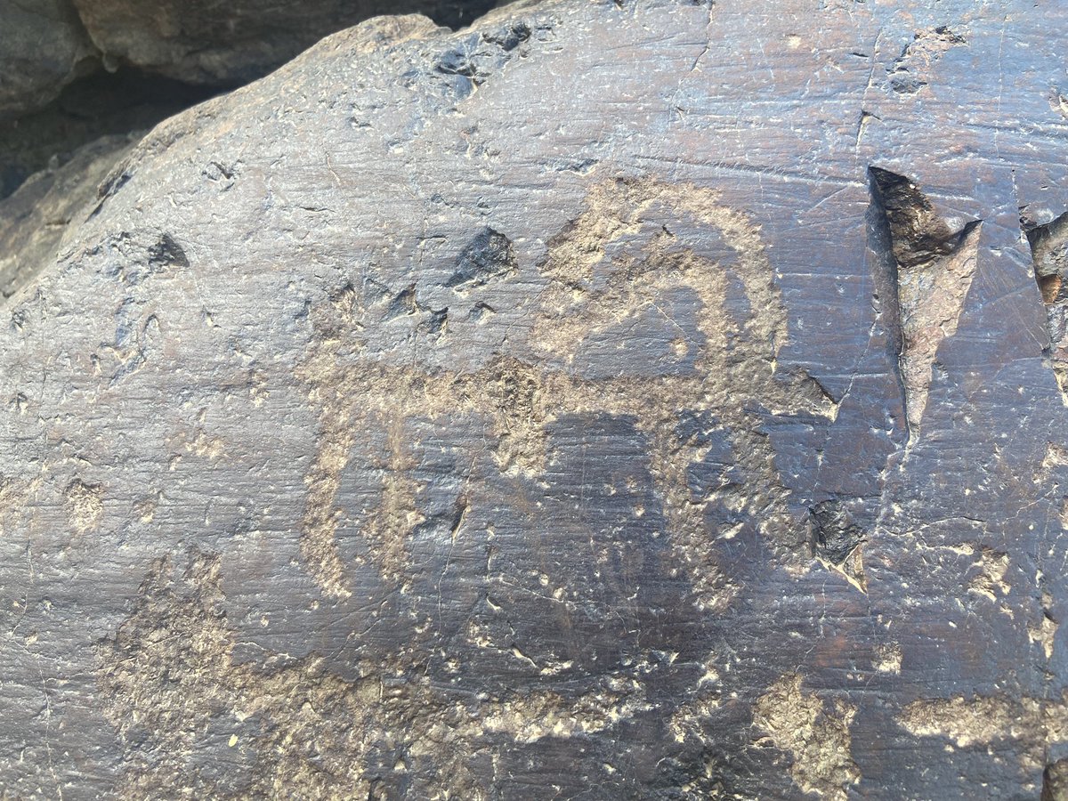 slamGrdal1's tweet photo. Geverok Vadisi.   (Hakkâri  08.14.23 )

🍃☘️🐉📌🐝📸📸

@islamgurdal30 @hakan_zanyar @HediyeKl16 @zibaklc1212 @deryaklc3030 @gulsenernas @oydere @tknmuharrem @YuksekovaGM1 https://t.co/bDvNbPmaBM