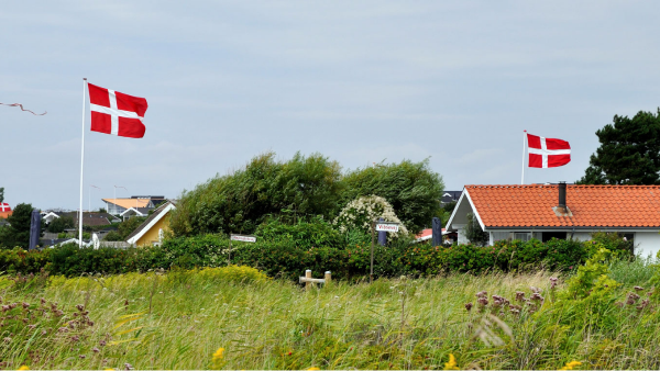 Nye databeskrivelser for Danmarks Administrative Geografiske Inddeling (DAGI) giver overblik og mere information om alle 12 temaer i DAGI. Læs mere: dataforsyningen.dk/news/4886