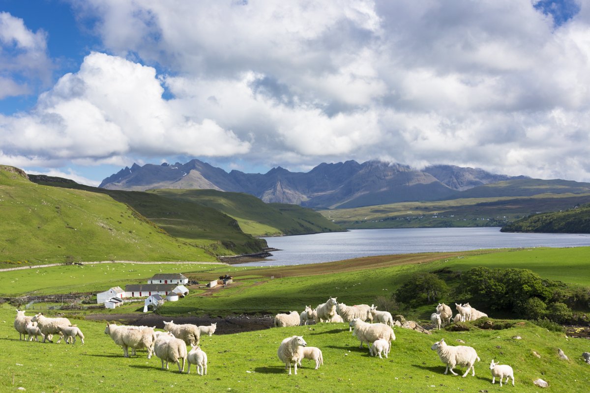 ScotNational's tweet photo. Good morning, Scotland! 🏴󠁧󠁢󠁳󠁣󠁴󠁿

Can you guess where this is?👇 https://t.co/bZ9HiqRsGb