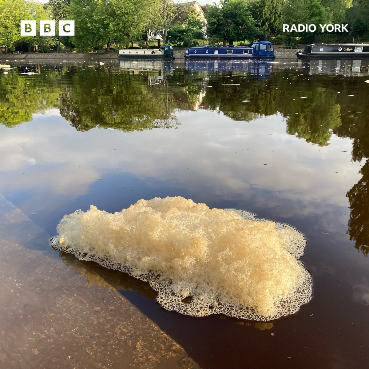 BBC York tweet media