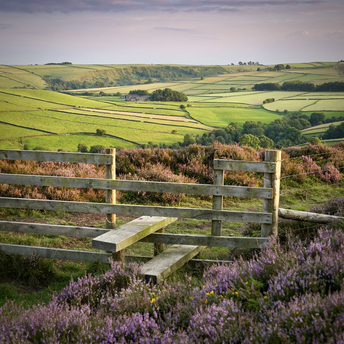 peaklass1's tweet photo. If only life were always as simple as walking through the #peakdistrict countryside as the sun sinks down, the sky as pink as the heather-clad moors, and the stretching fields calling you ever onward. https://t.co/p2ELuaC08Z