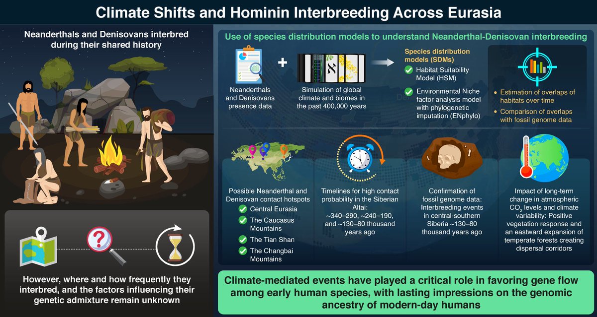 robertosaezm's tweet photo. Neandertales y denisovanos se cruzaron en momentos de cambios climáticos y ambientales por variaciones en el CO2 atmosférico y el volumen de la capa de hielo del hemisferio norte. 
Climate shifts orchestrated hominin interbreeding events across Eurasia https://t.co/AGzeoJMbe8 https://t.co/lzjGwA2PXM