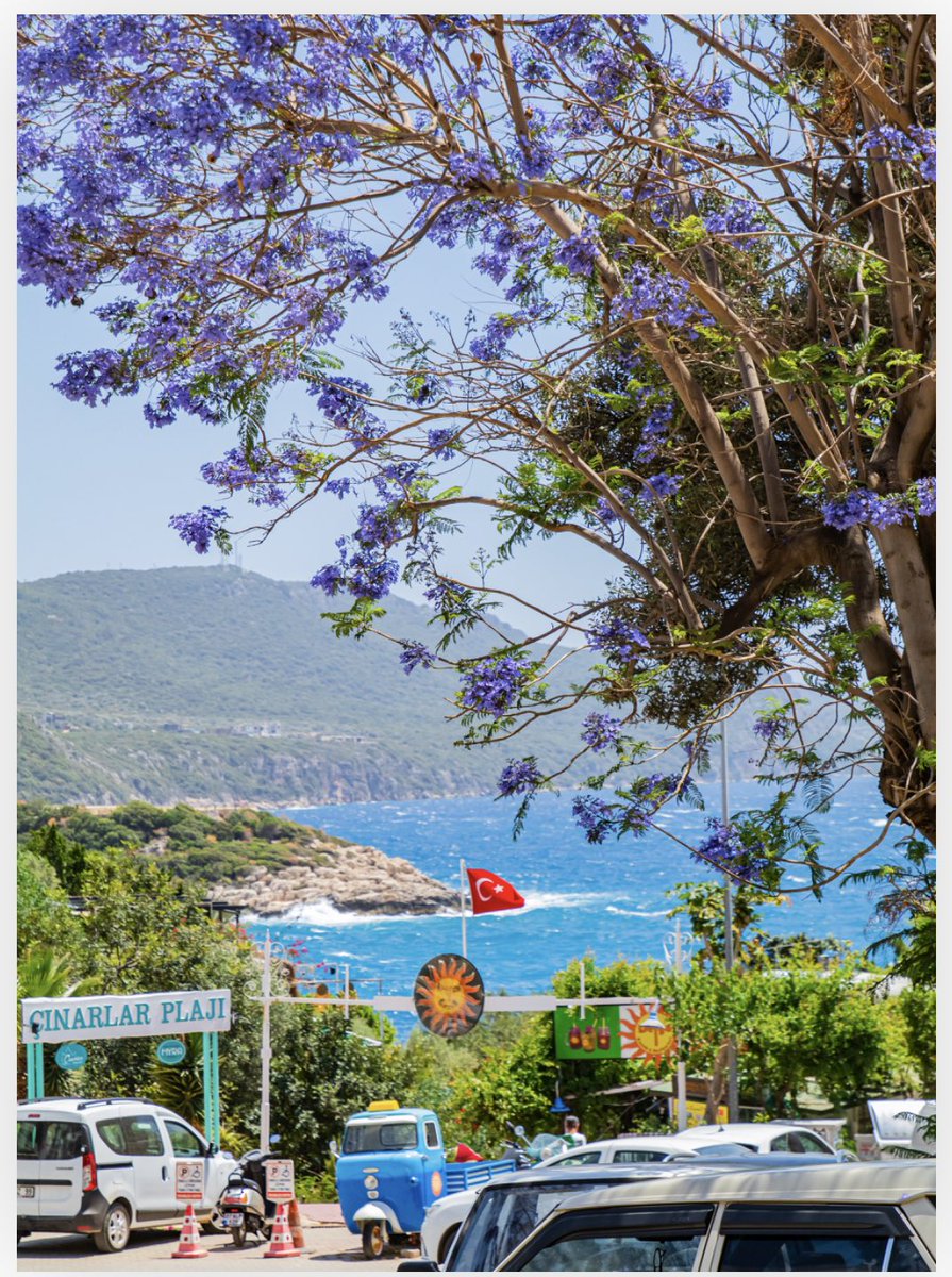 VipDigitalpics's tweet image. Good morning,
My work on @foundation @objktcom &amp;amp; @manifoldxyz the links are on my bio. 
Collaborations
Ballet
 Street photography in Kas, Turkey 🇹🇷 

Have a great day. 

#NFT #NFTs #Ethererum