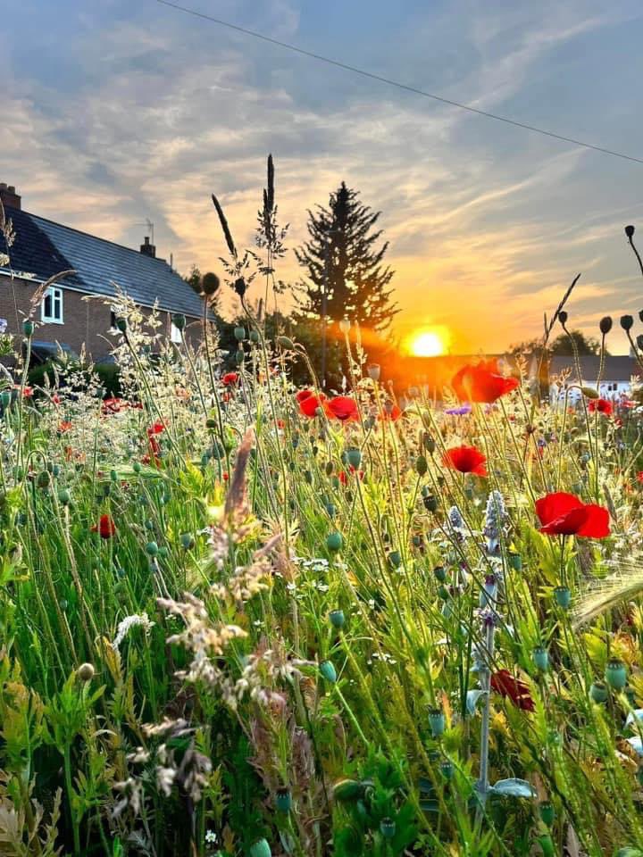 Berkeley Vale Tourism tweet media