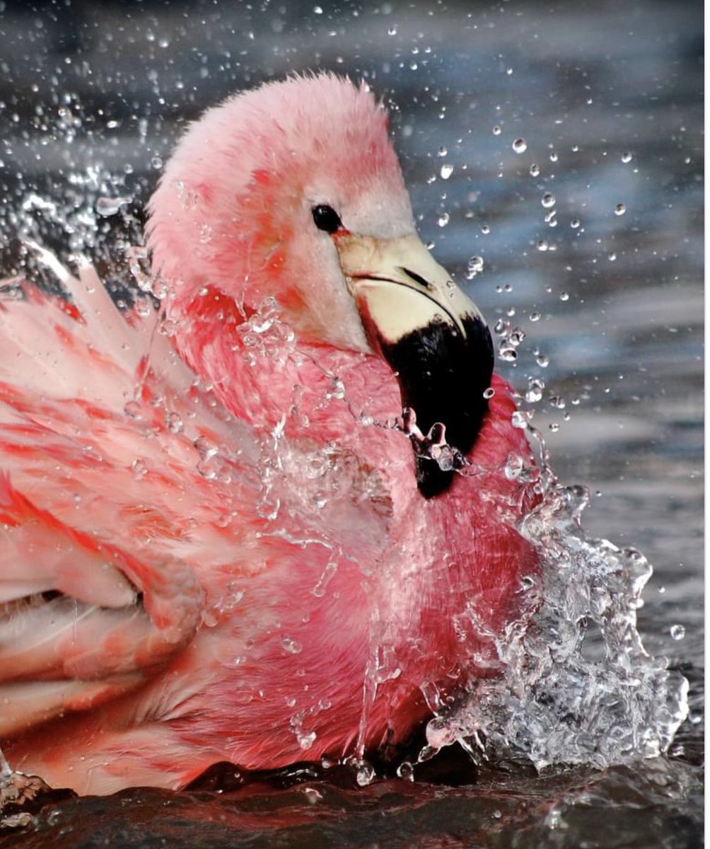 Berkeley Vale Tourism tweet media