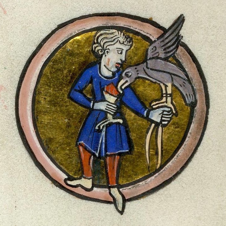 Un falconiere sfama il suo falco, #miniatura tratta dal #manoscritto Y T 18 #BritishLibrary, XIII secolo, #medioevo #medievale #middleage #mittelalter #moyenage #FestivaldelMedioevo #FdM2023