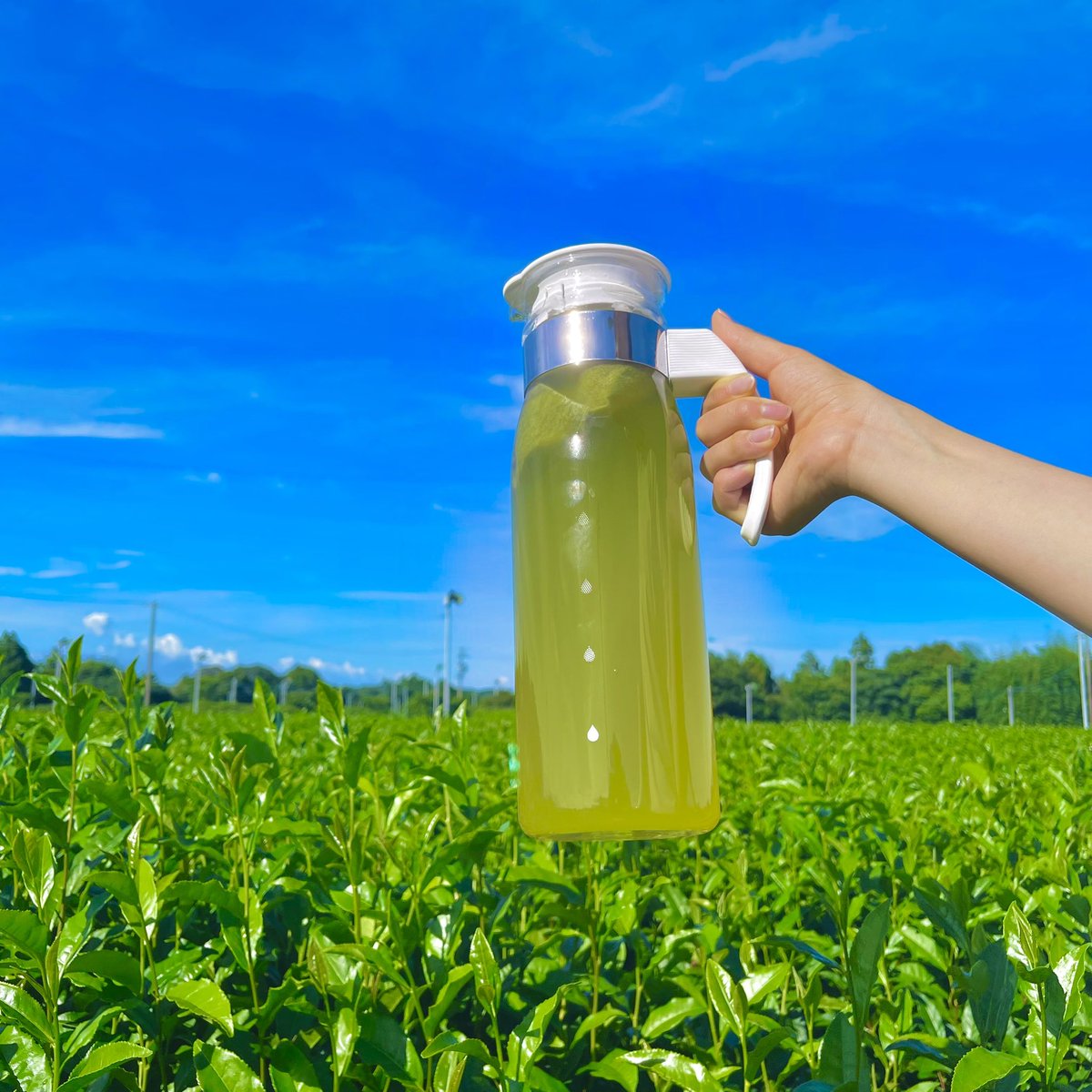 お茶は淹れる水の温度で味わいが大きく変わります。冷たい水で抽出すると、苦味成分のカフェインや渋み成分のカテキンは抽出されずらくなり、旨み成分のアミノ酸はしっかりと抽出できるので、熱いお湯で淹れた時よりも強い旨味を感じることができます。