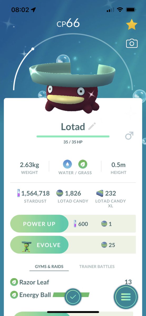 ChrisEFC91 Pokemon Go tweet media