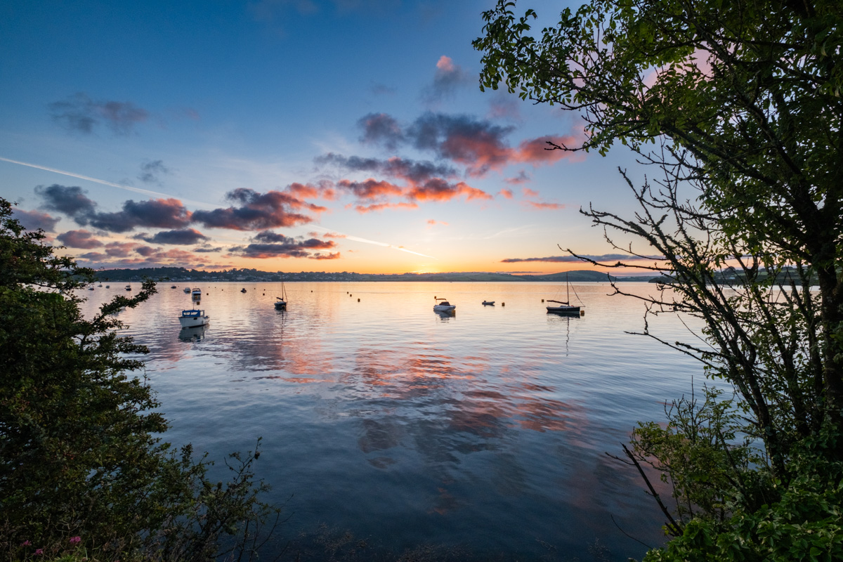 Simon Maycock tweet media