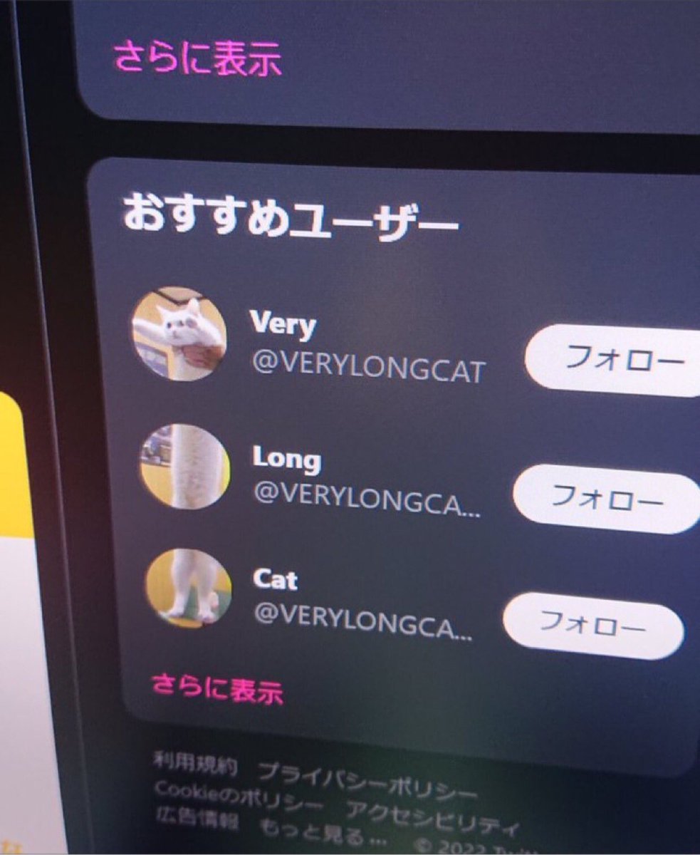 “おすすめユーザー”