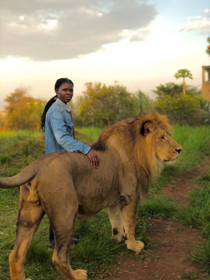 This photo reminds me of @realDonaldTrump's book 'Think like a champion', it's a book, together with @BrianTracy's 'Change your thinking Change your life' that turned my mindset around early in 2018. Now I feel like more than just a lion🦁 📸 @SnakeGirlUG