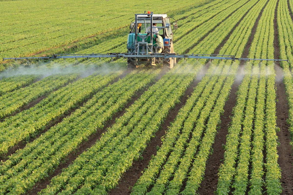 ramacharitbrc's tweet photo. Major players in the nitrogenous water soluble fertilizer market are ICL Specialty Fertilizers, Yara International ASA, K+S Aktiengesellschaft.... @ https://t.co/MoRRgSkZRn

#Macroelement #WSF, #Microelement #Crop #FieldCrops #Horticultural Crops https://t.co/sk4aC8H9B1