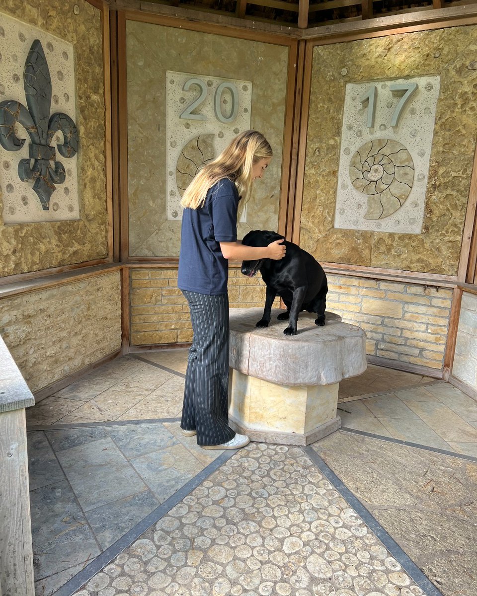 Sherborne Castle tweet media