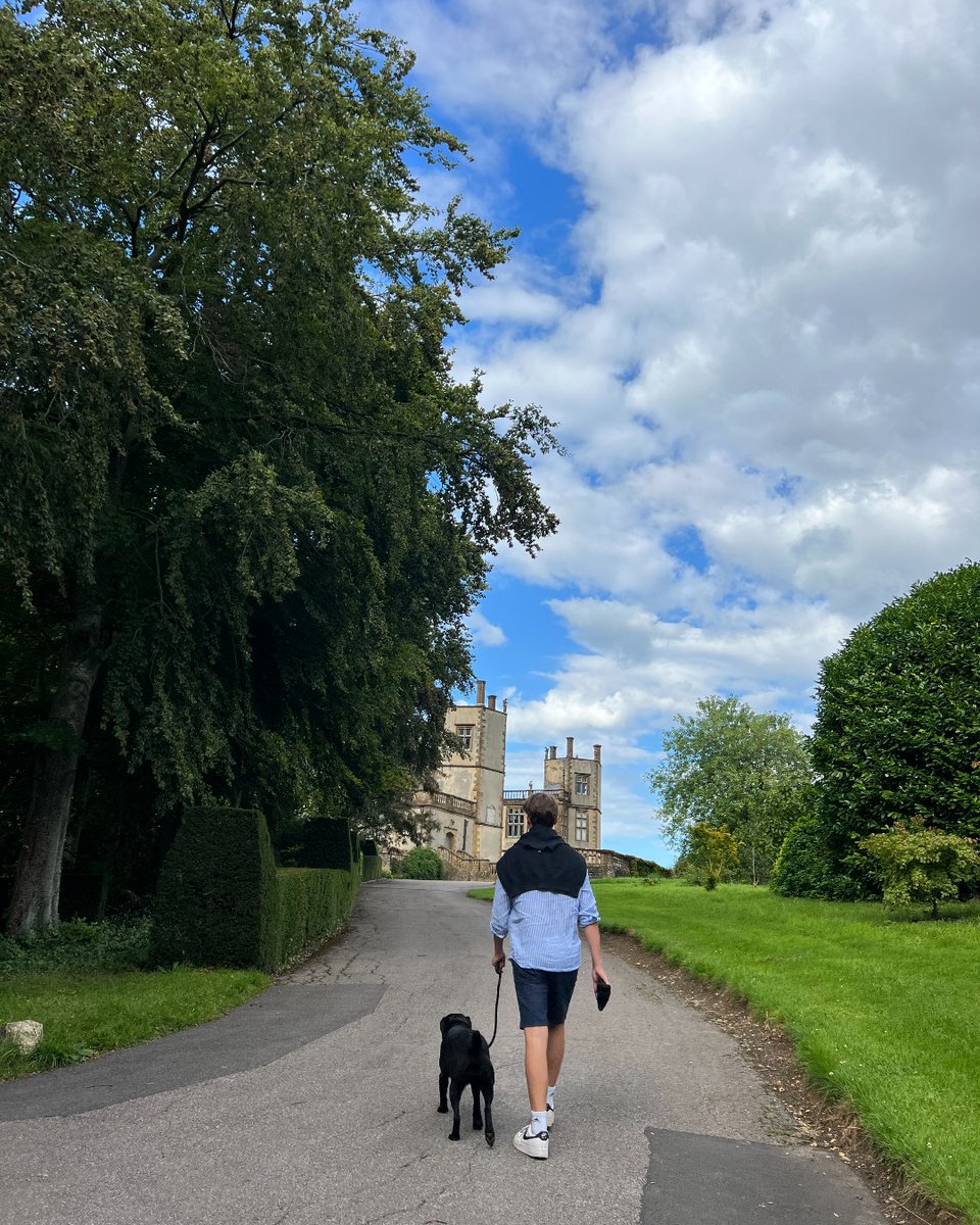 Sherborne Castle tweet media