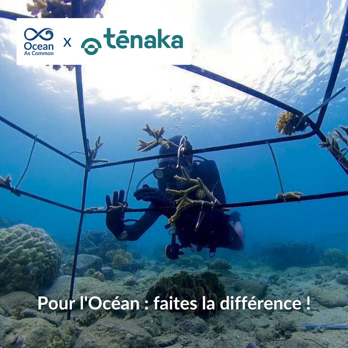 1 récif #corallien sur 5 est #français, montrons l’exemple en restaurant ces épicentres de vie sous-marine 🪸
Tēnaka aide les #entreprises vers des activités régénératrices, avec des programmes personnalisés pour personnel, clients et parties prenantes
👉 bit.ly/3s7860u