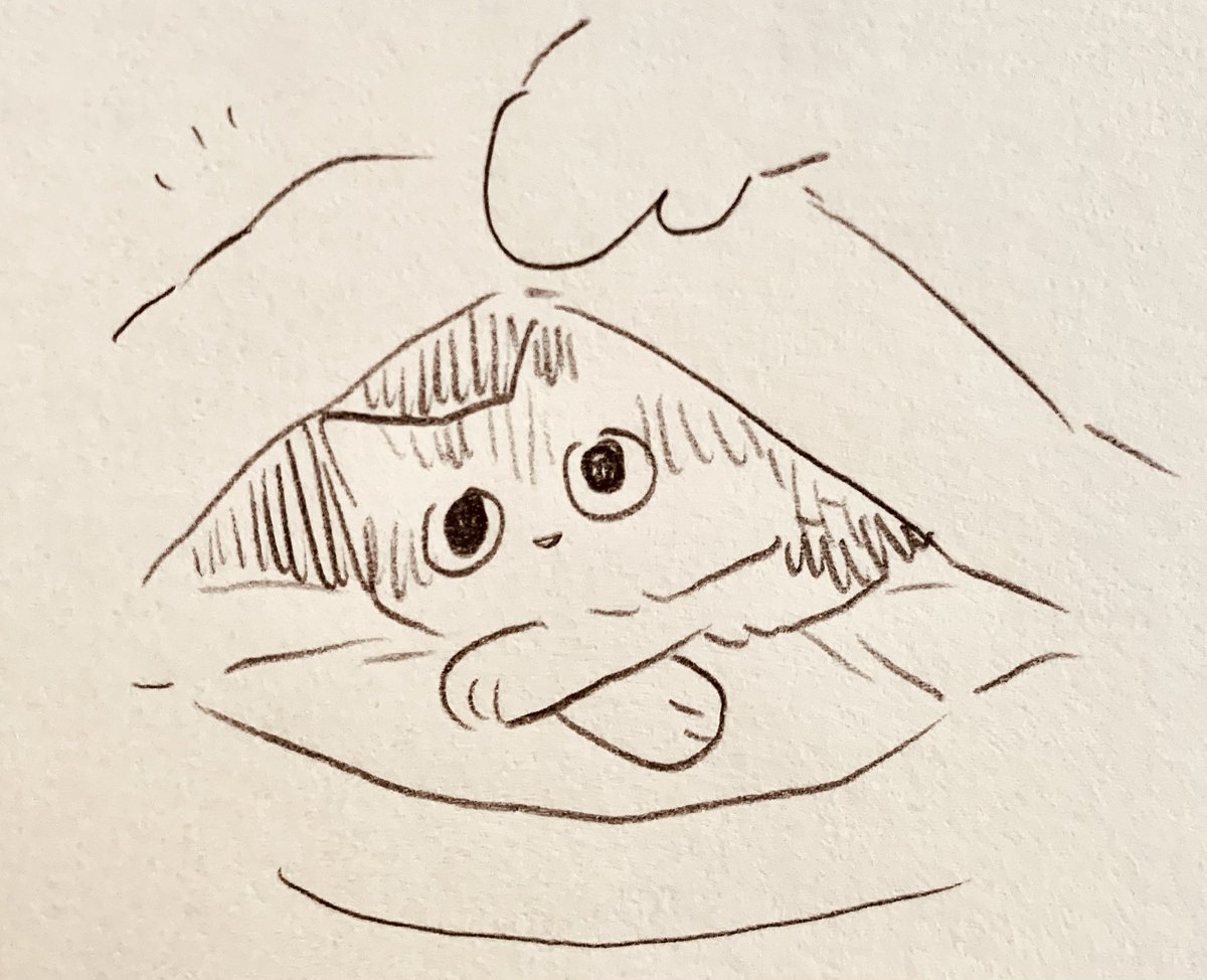 お布団在住 