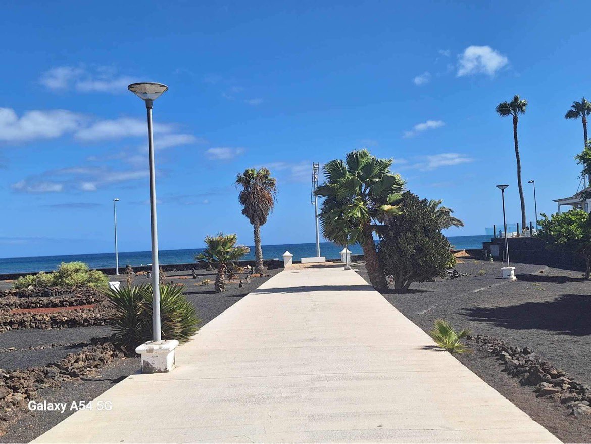 Terrie Weather Lanzarote🦋 tweet media