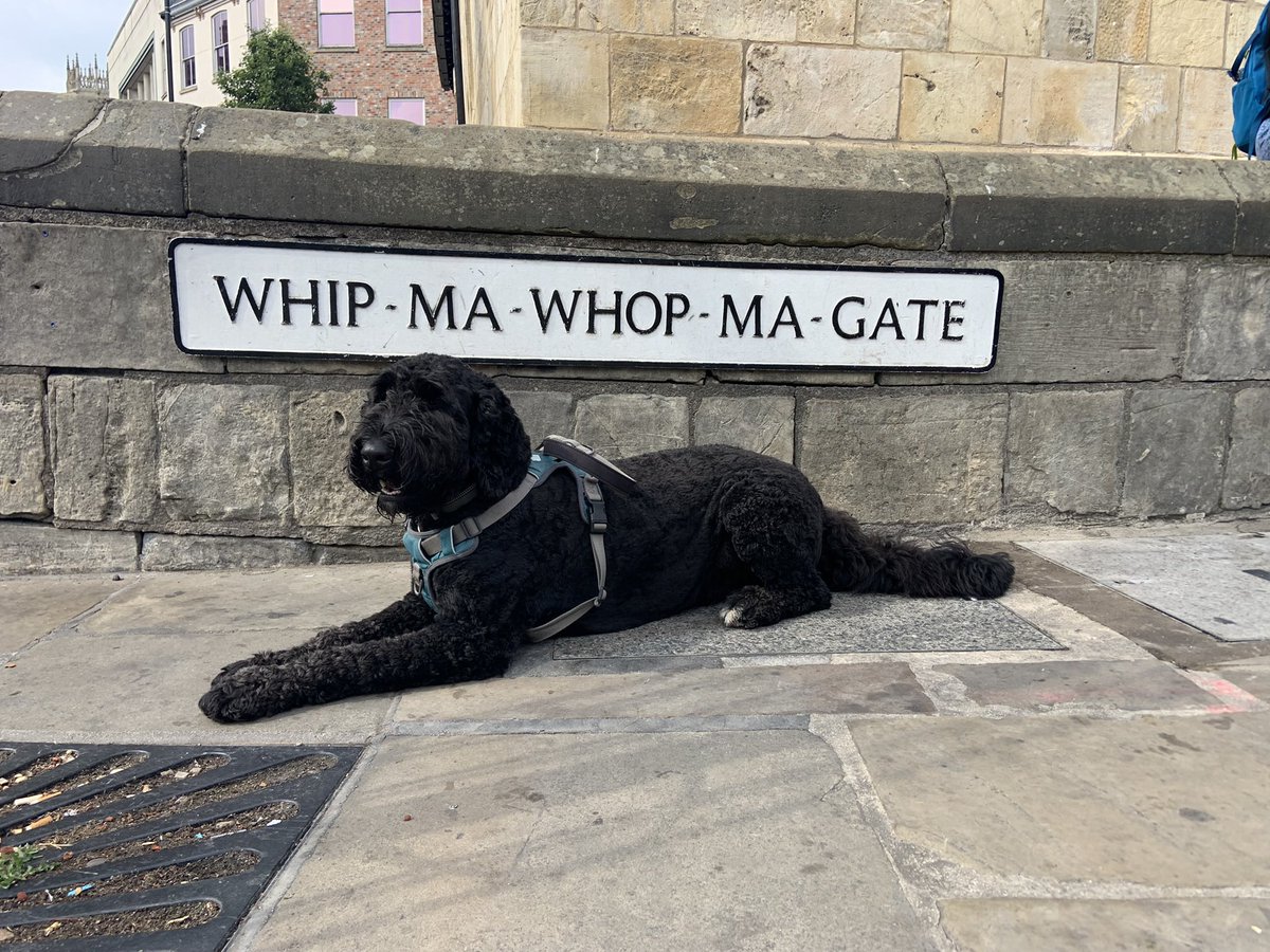 OBernedoodle's tweet photo. @BBCRadio2 https://t.co/83ytRtaPAK