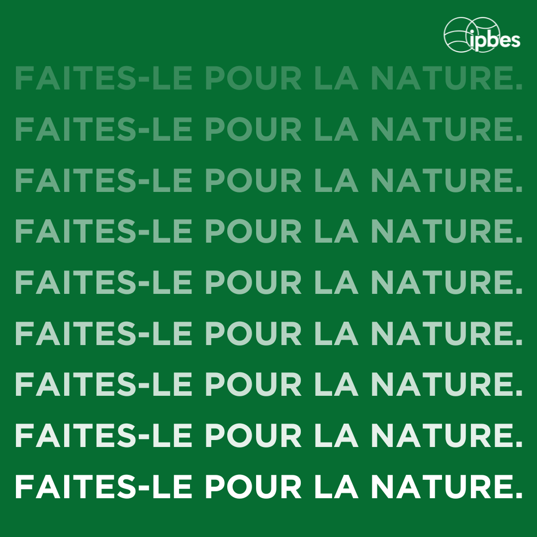 IPBES en français tweet media