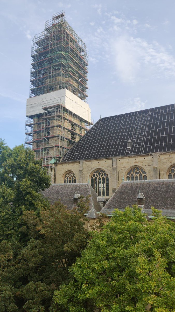 Tim Surma tweet media