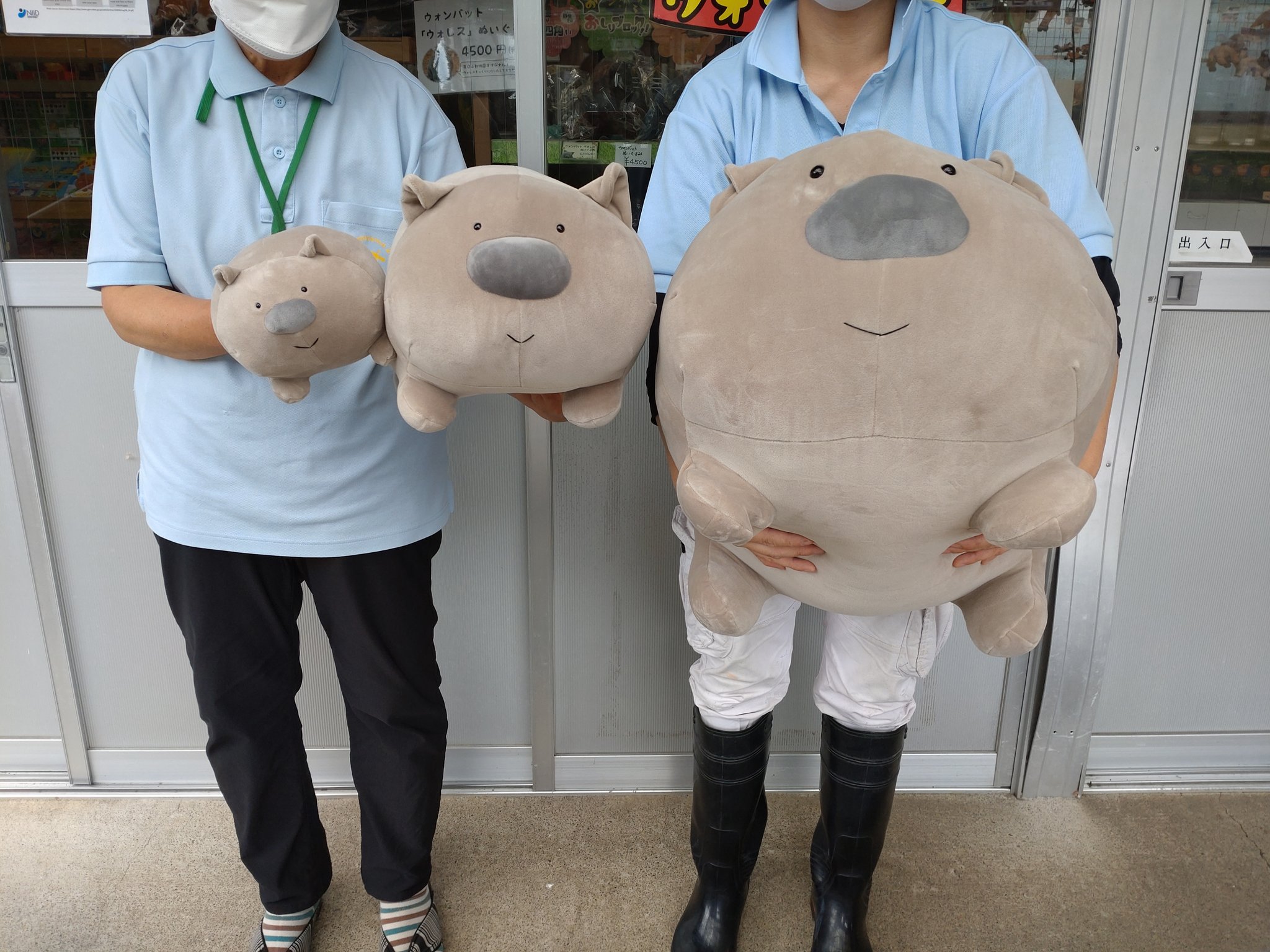 長野市茶臼山動物園【公式】 on X: 