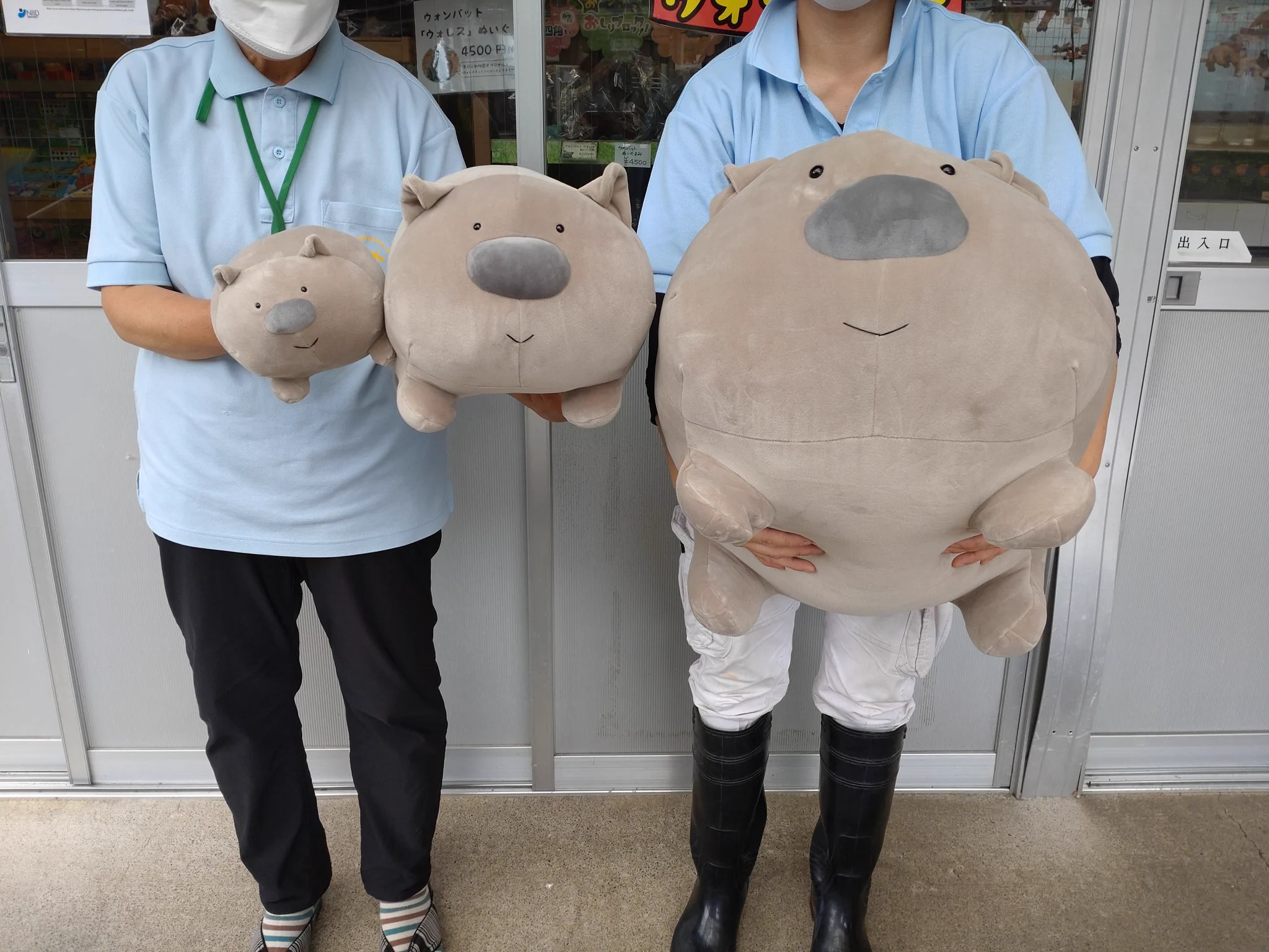 長野市茶臼山動物園【公式】 on X: 