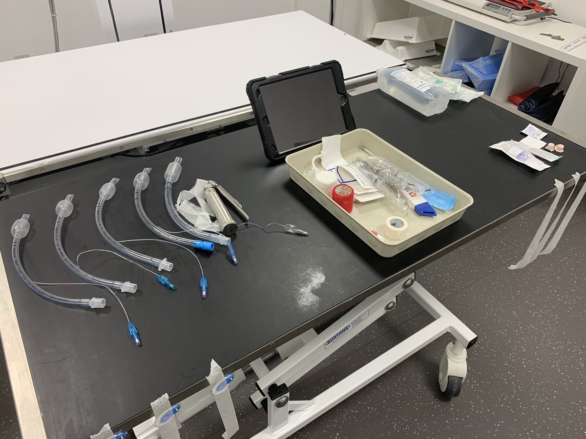 All set for a busy day at <a href="/movementvets/">@movementvets</a> #theexpereincematters